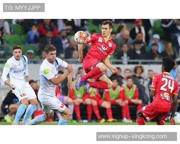 西联对阵阿德莱精彩对决分析及双方近期状态评估